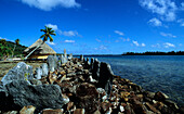 Marae, Raiatea, Windward Islands French Polynesia, South Pacific