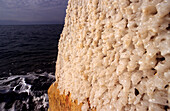 Salt on Stone, Dead Sea, Jordan, Middle East