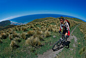 Biketrail near Cheviot, Southern Island New Zealand