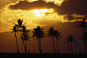 Waikiki Beach, Oahu, Hawaii, USA