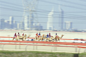 Camel Race, Dubai, United Arabic Emirates