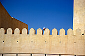 Ein Mann steht auf der Mauer des Fort, Nizwa, Oman