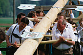 Erecting the Maypole, Maypole Celebration, Kraimoos, Bernau am Chiemsee, Bavaria, Germany