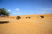 Blick auf Wüste und wenige Büsche, Oman