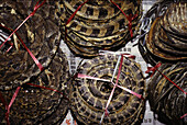 Snakes in market, Macao, China