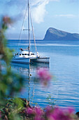 Sailing boat, sea, Cap Malheureux, Mauritius