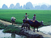 Trockene Halong Bay, Ninh Binh Province, Vietnam, Indochina
