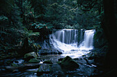 Twin Falls, Mount Field NP, Tasmania Australia