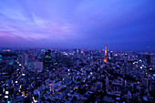 Blick vom Mori-Building, Tokyo, Ropongi, Japan