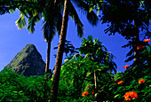 Piton Mountains, Saint Lucia, Soufriere, St. Lucia Carribean, North America