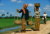 Rice farmers, Prey Veng Province, Prey Veng, Cambodia Indochina, Asia