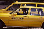 Yellow Taxis, Calgary, Alberta Canada