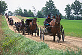 Pferdekutsche von Mennoniten, in der nähe von St. Jacobs, Ontario, Kanada, Nordamerika, Amerika