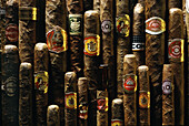 Cuban cigars, Cuba, Carribean, America