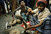 Snake charmers with cobras, Kandy, Sri Lanka Asia