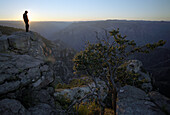Man on a rock at sunset, Copper canyon, Divisadero, Chihuahua, Mexico, America