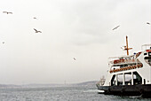 Fähre, Bosporus, Istanbul, Türkei