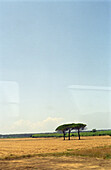 Landschaft aus zugfenster, Umbria, Italy