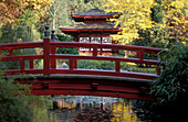 Japanese Garden, Leverkusen, North Rhine-Westfalia, Germany