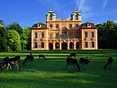 Schloss Favorite with deer, Ludwigsburg, Germany