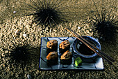 Japanese sea urchin sushi, Japan