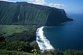 Hamakua Coastline, Waipio Valley Lookout, Big Island Hawaii, Hawaii, USA