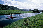 Kayaking on Hanalei River, Near Hanalei, Kauai, Hawaii, USA