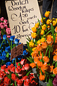 Market Stall, Bloemenmarkt, Flower Market, Bloemenmarkt flower market, in Singel Gracht, Amsterdam, Holland, Netherlands