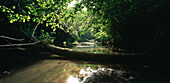 River near Calcata, Italien