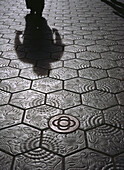 Pavement, the Passeig de Gracia by Antoni Gaudi, Barcelona, Spain