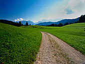Path through meadows, Werdenfelser Land, Upper Bavaria, Germany