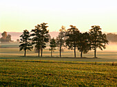 Misty Landscape near Diessen, Upper Bavaria, Germany