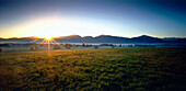 Aline Upland at sunrise, Grossweil, Upper Bavaria, Germany