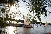Catboat, sailing boat on lake Aussenalster, river Alster, outer Alster lake, Hamburg
