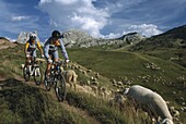 Mountainbikers, Passo Pordoi, Dolomites, Italy, Europe