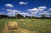 Hay Harvest near Oderin, Brandenburg, Germany
