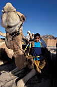 Beduin Child with Camel, Desert near Hurghada, Red Sea, Egypt