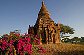 Pagan's Temples, Tempelruine Bagan, ruined temple