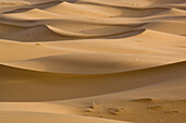 Sanddünen, Erg Chebbi, Marokko