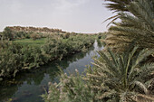 Source bleue de Meski, Oase von Meski bei Er Rachidia, Marokko