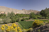 Route of kasbahs, Dades Valley, Morocco