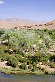 Route of kasbahs, Dades Valley, Morocco