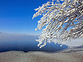 Staffelsee im Winter, Blaues Land, Oberbayern, Deutschland