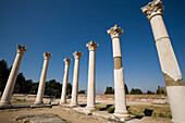 Group of ionic columns of the temple Asklipieion, Kos-Town, Kos, Greece