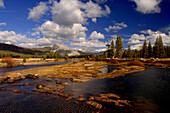 Fluss auf dem Tioga Pass; Sierra Nevada; Kalifornien; USA