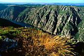 Gargantas del Sil,Tal des Rio Sil,vor Mirador de Madrid,bei Os Peares,Provinz Orense,Galicien,Spanien