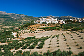 Quesada,Sierra de Cazorla,Provinz Jaen,Andalusien,Spanien