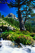 Riu Ratera und Serra de les Agudes,Nationalpark Aigues Tortes,Provinz Lleida,Katalonien,Spanien