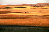 Felder,bei Ucles,Provinz Cuenca,Castilla-La Mancha,Spanien