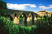 Bridge La Reina and river Rio Arga,Camino de Santiago near Pamplona,Navarra,Spain